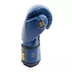 gant-de-boxe-x-perience-montana-bleu
