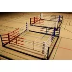 ring-de-boxe-entrainement-1