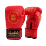 gants-de-boxe-x-perience-montana-rouge