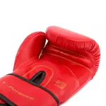 gants-boxe-x-perience-montana-rouges