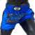 short-de-boxe-thai-fairtex-bleu
