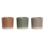 Plateau amuse-bouche 10 pièces en bambou et porcelaine