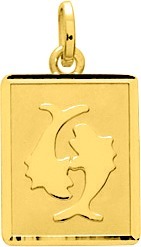 Médaille rectangle Or 18K Zodiaque - 15x11.5mm