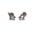 C42031_BO (1)
