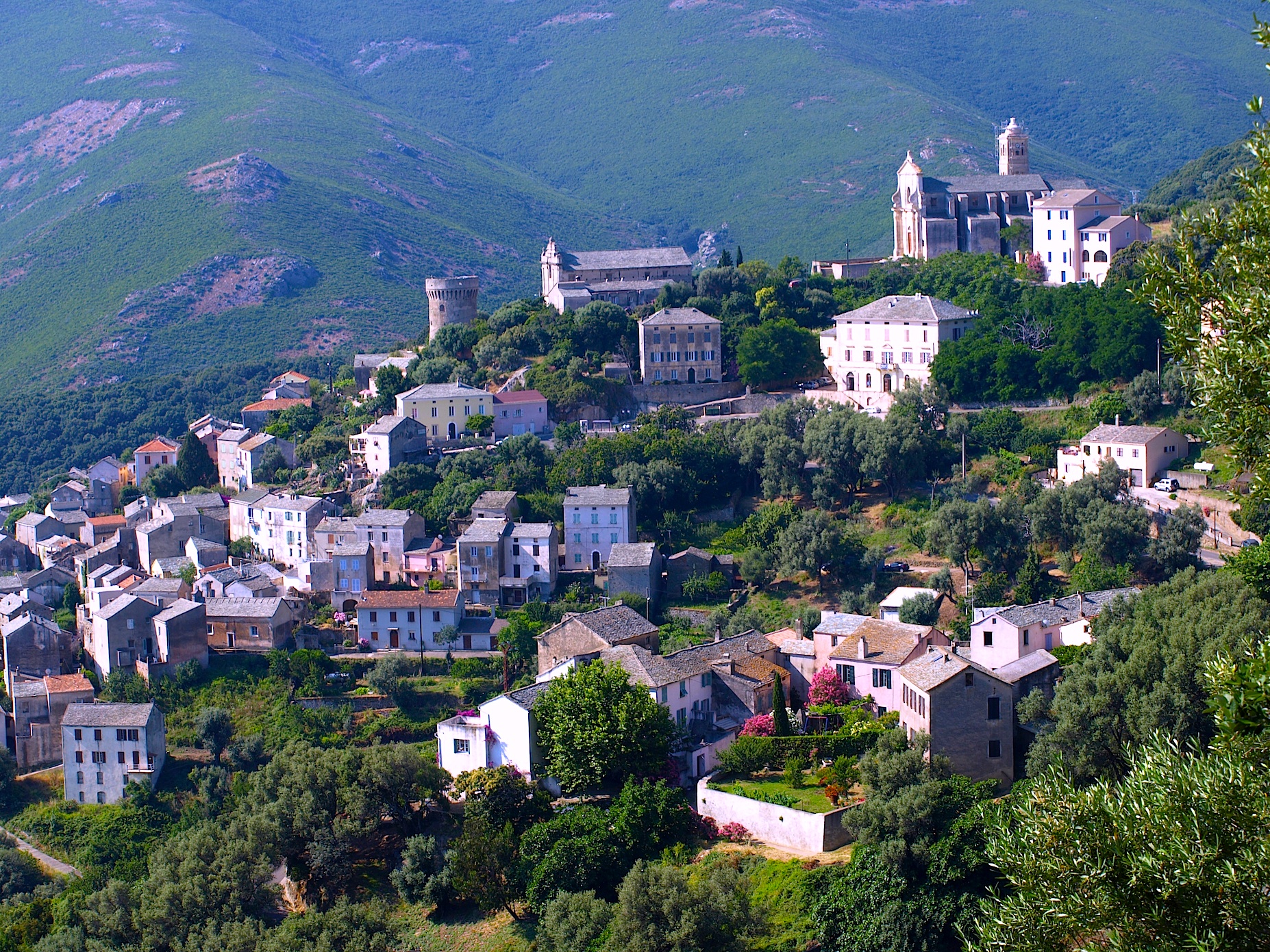 rogliano 2 copie