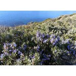 IMG_1872 copie