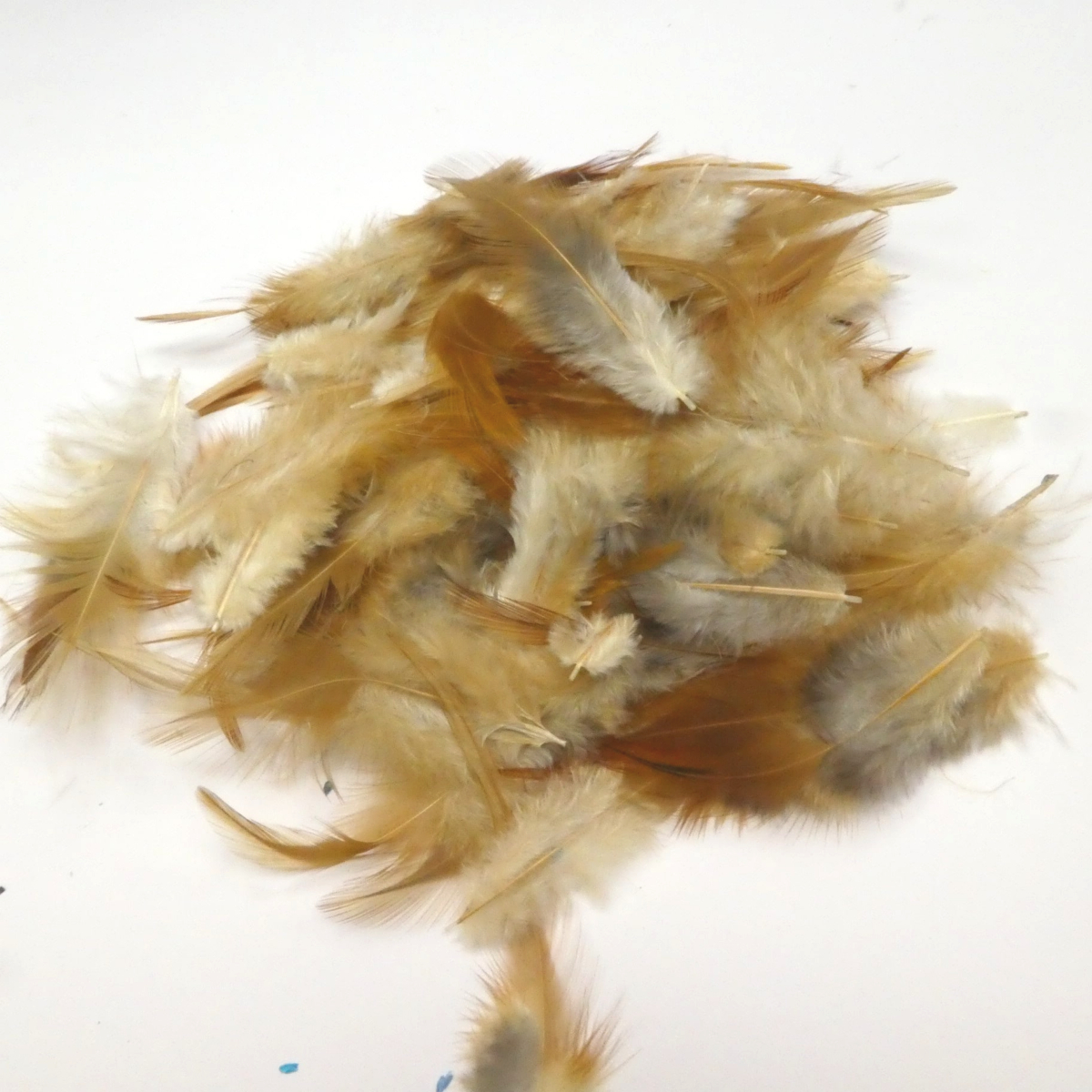 Mélange de Plumes Beige 6-15cm 10g RAYHER