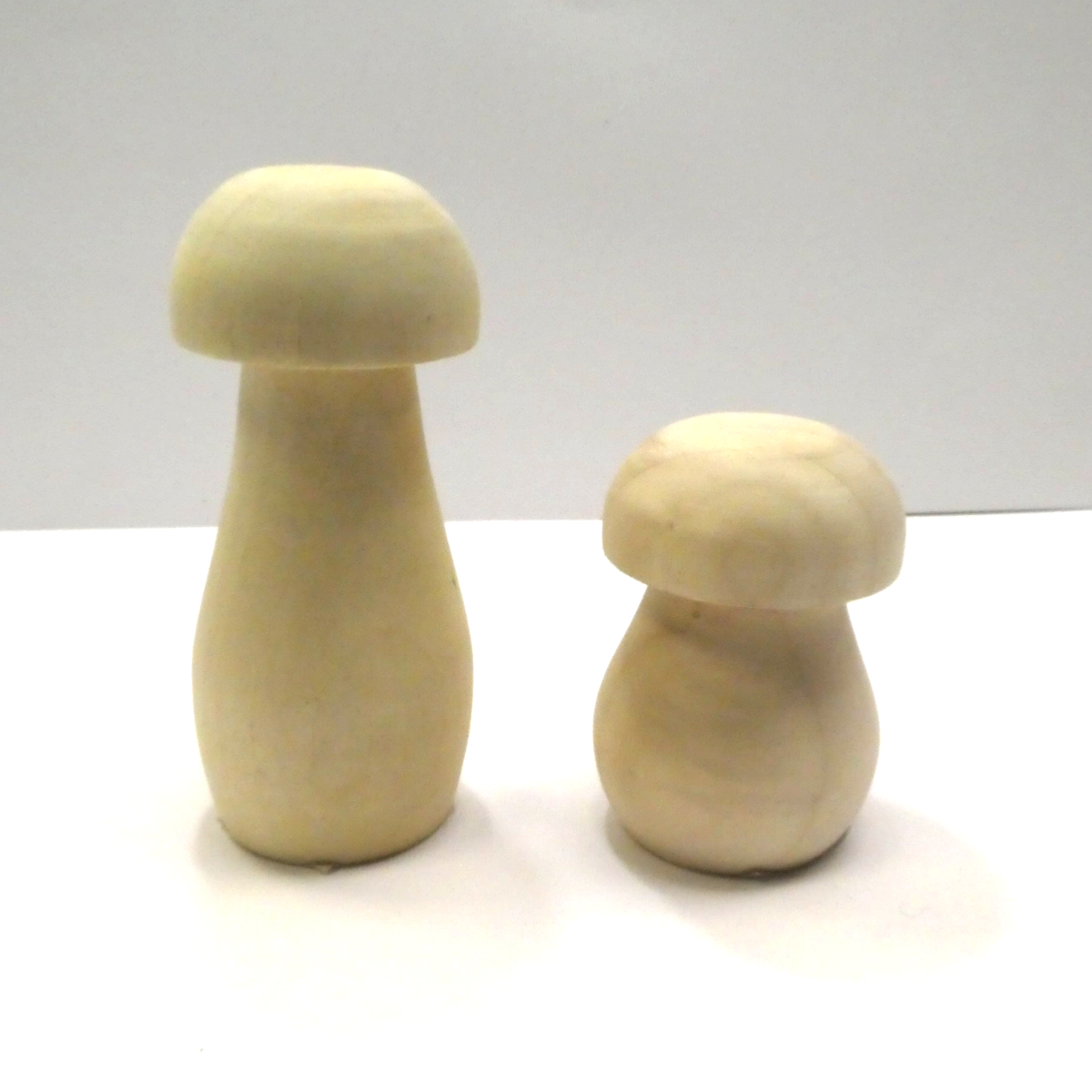 champignons-en-bois-CTOP-zoom