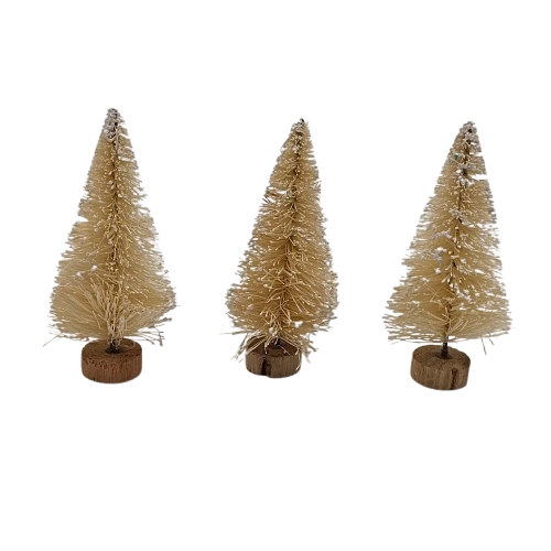 sapin blanc 7 cm x 3