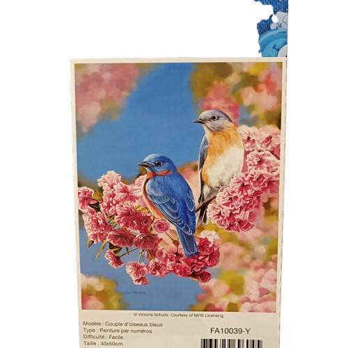 peinture numero oiseaux bleu