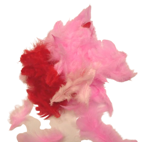 mélange plume rouge rose rayher
