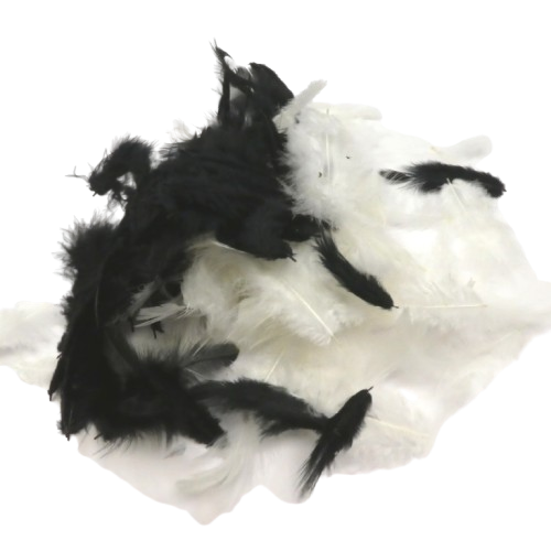 mélanges plumes noir blanche rayher