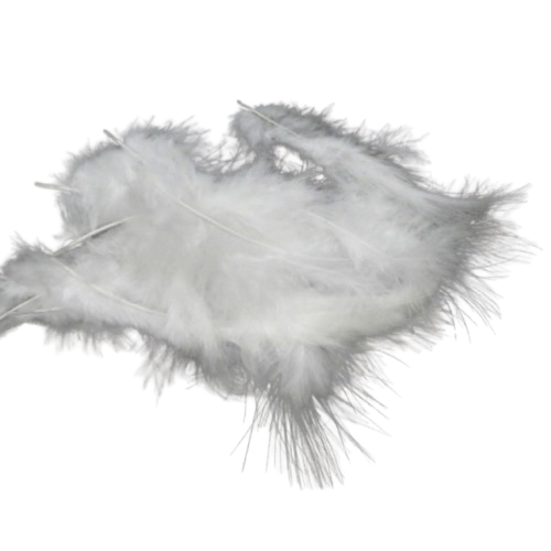 plumes blanches rayher