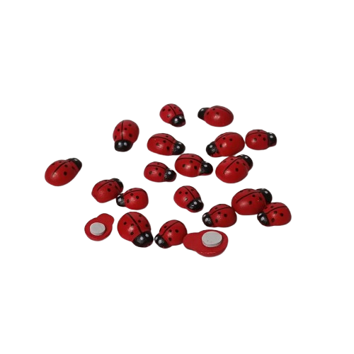 coccinelle