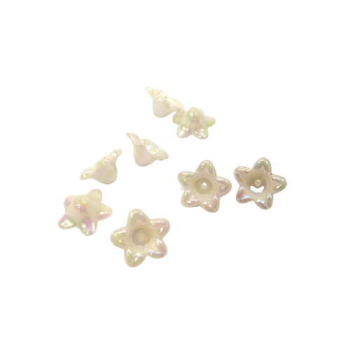 fleurs blanches