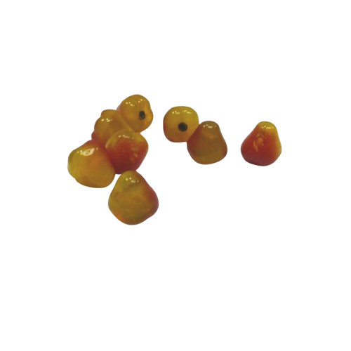 miniatures oranges (2)