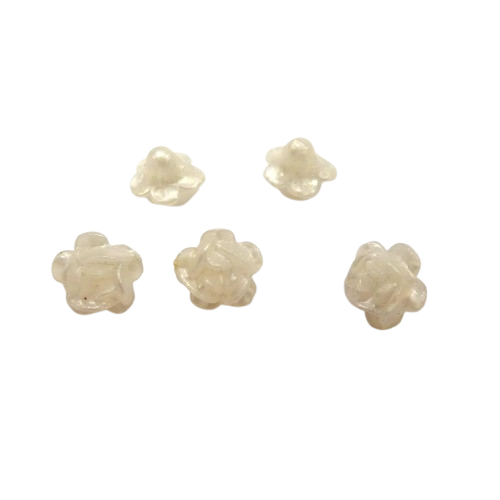 fleurs blanches matt