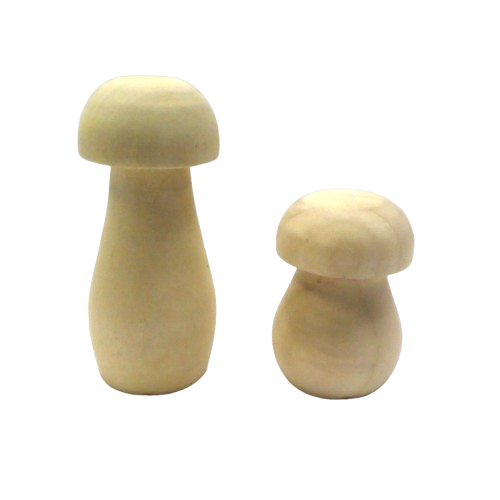 champignons en bois