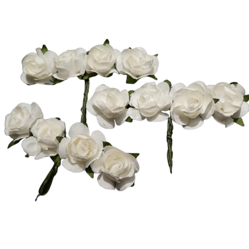roses glorex blanches