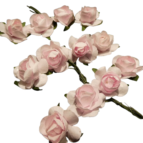 roses glorex rose