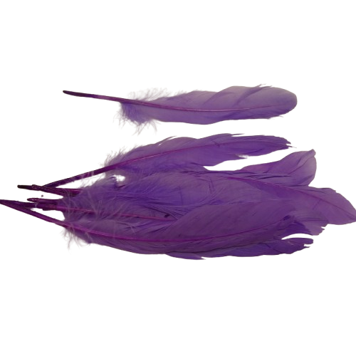 plumes doie Rayher lilas