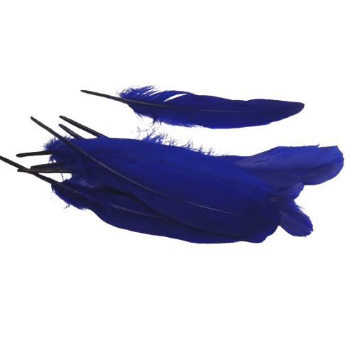 plumes doie Rayher bleu roi