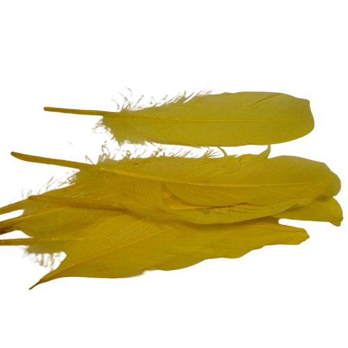 plumes doie Rayher jaune