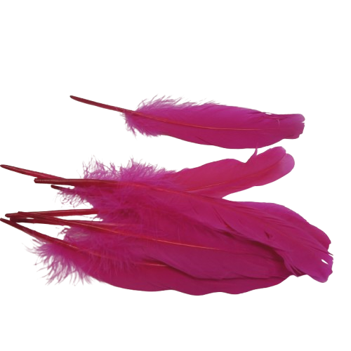 plumes doie Rayher fushia