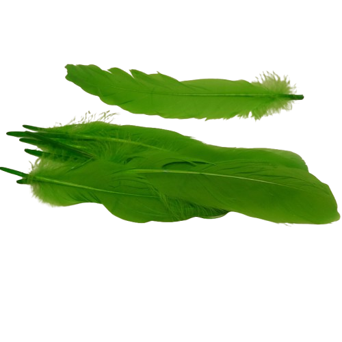 plumes doie Rayher vert clair