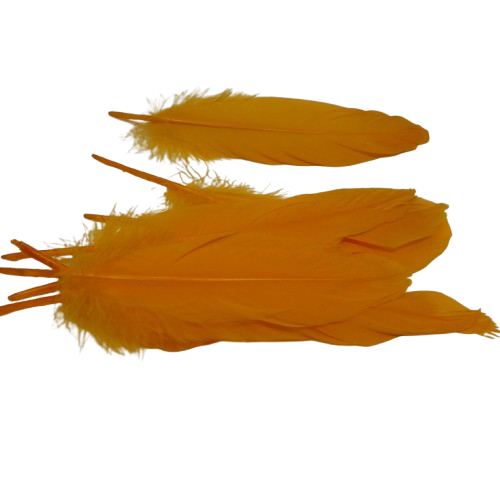 plumes doie Rayher orange
