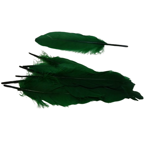plumes doie Rayher vert foncé