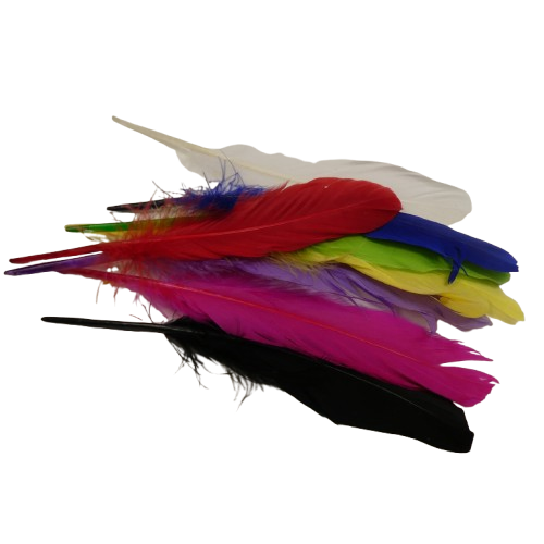 plumes doie Rayher multicolor