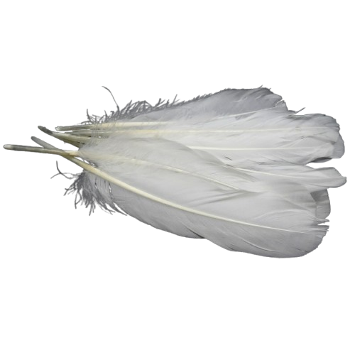 plumes doie Rayher blanc