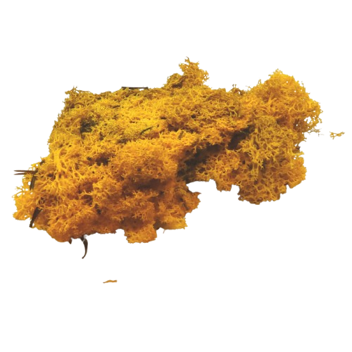 mousse végétale jaune glorex