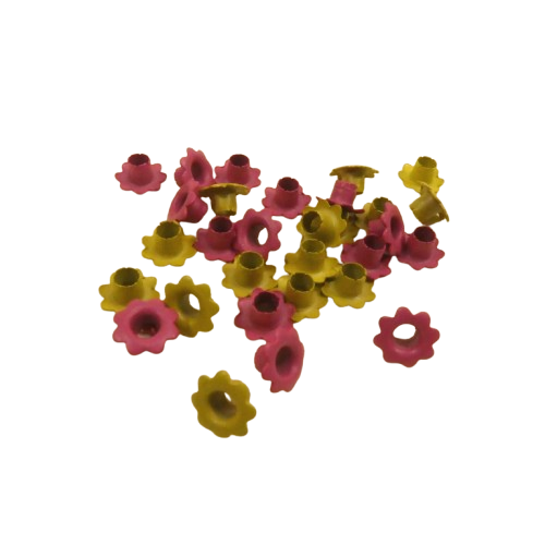 oeillet fleurs