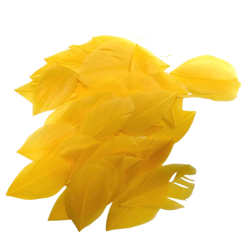 Plumes 6 cm Artemio jaune