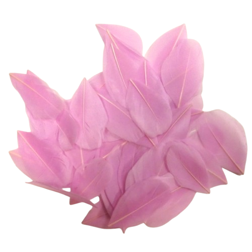 Plumes 6 cm Artemio rose clair