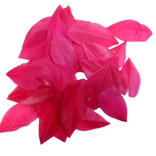Plumes 6 cm Artemio fuschia