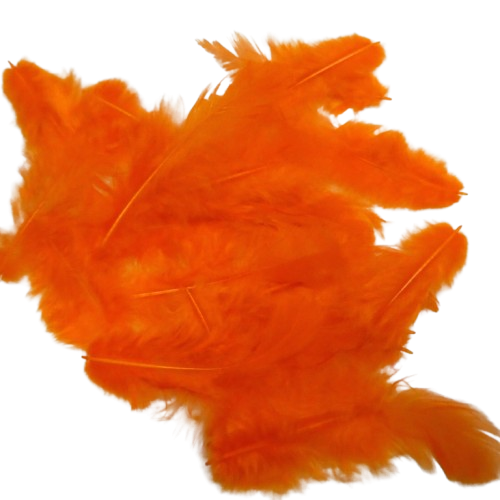 plumes artemio orange