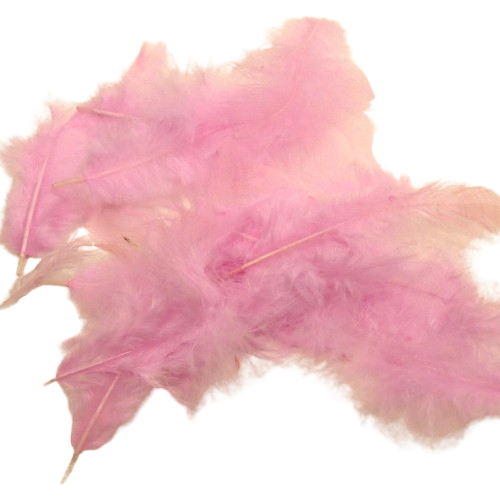plumes artemio rose clair