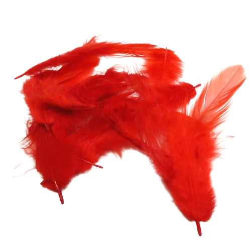 plumes artemio rouge