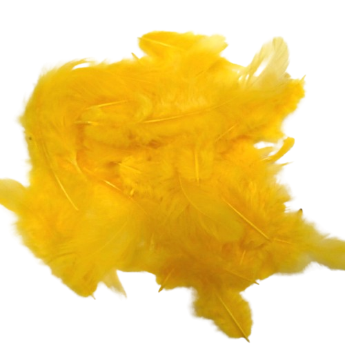 plumes artemio jaune
