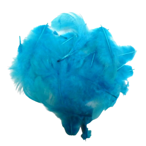 plumes artemio turquoise
