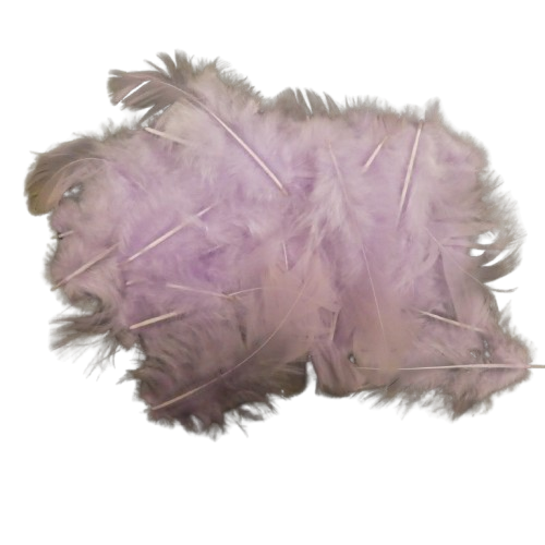 plumes artemio rose clair (2)