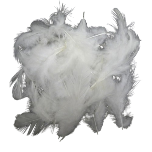 plumes artemio blanche