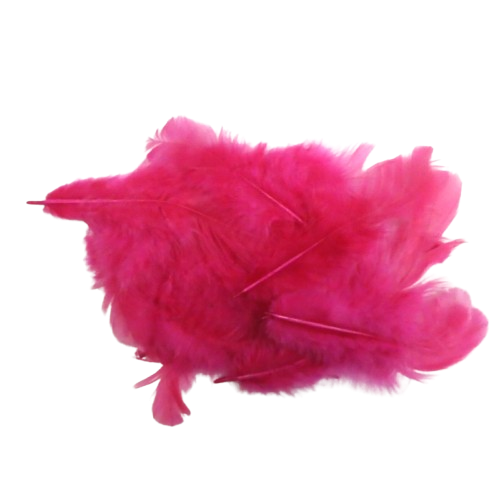 plumes artemio fuschia