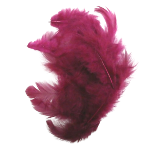 plumes artemio prune