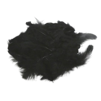 plumes artemio noir