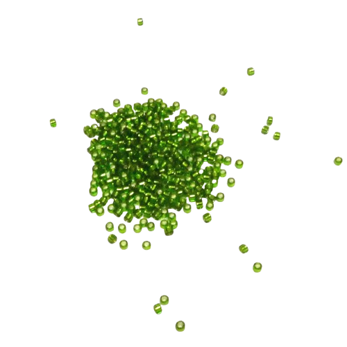 perles miyuki argentée vert