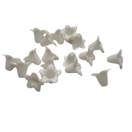 fleurs blanches